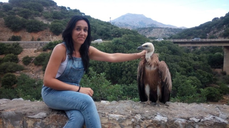 Έλιωσε το διαδίκτυο: Στην Κρήτη ένας ευγενικός γυπαετός έβγαλε selfie και αγκάλιασε με τα φτερά του ένα ζευγάρι που του έδωσε νερό