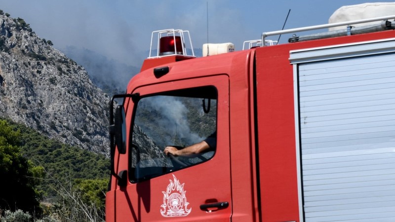 Εύβοια: Φωτιά σε δασική έκταση