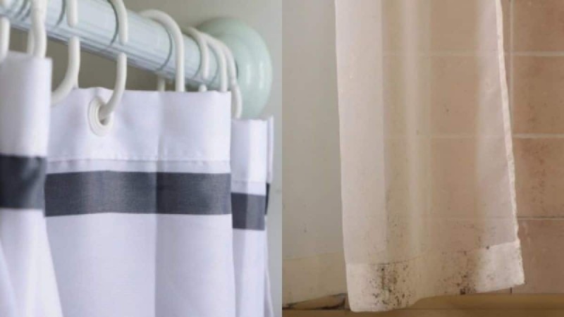 Μαυρίλα μούχλας στην κουρτίνα του μπάνιου: 2 φυσικοί τρόποι να την εξαφανίσετε