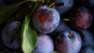 Πώς τα δαμάσκηνα γίνονται ένα υπερόπλο για τον οργανισμό εναντίον του καρκίνου