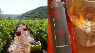 Οινικό οδοιπορικό στην Ελλάδα: 3 προορισμοί που κάθε λάτρης του κρασιού πρέπει να επισκεφθεί