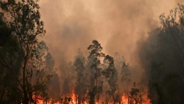 Συναγερμός στην Αυστραλία: Πυρκαγιά σαρώνει τη χώρα – Σε κίνδυνο ζωές και κατοικίες