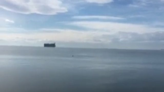 Δελφίνια έκαναν την εμφάνισή τους στον Θερμαϊκό (Video)