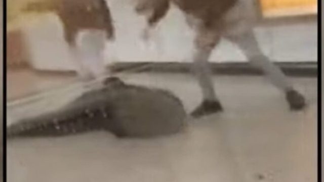 Επίθεση στο Μετρό: Έξαλλη η σύζυγος του σταθμάρχη – Ανακούφιση για τη μητέρα των ανηλίκων