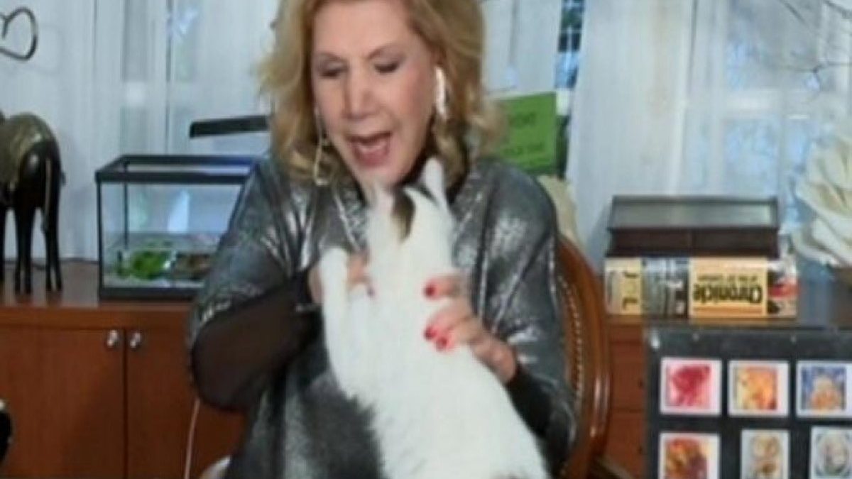Γάτα επιτέθηκε στη Λίτσα Πατέρα on air! (Video)