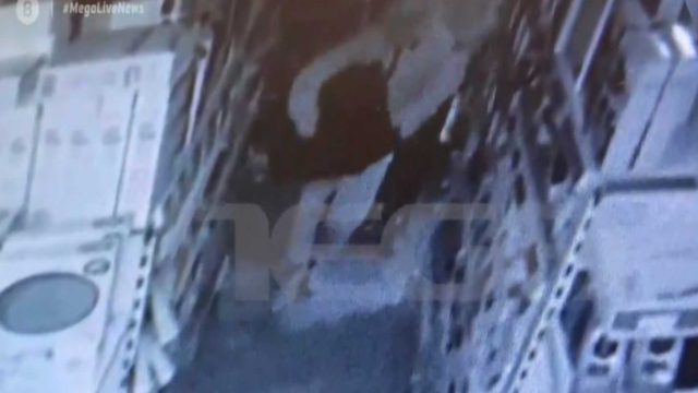 Ίλιον: Εισέβαλαν σε κλειστό κατάστημα και “βούτηξαν” το χρηματοκιβώτιο (video)