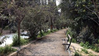 Θρίλερ στον Λυκαβηττό: Πτώμα βρέθηκε σε σπηλιά κοντά στους Αγίους Ισιδώρους