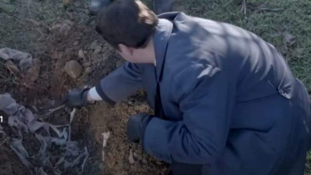 Πτώμα στο Διαφάνι: Στιγμές θρίλερ στις Άγριες Μέλισσες