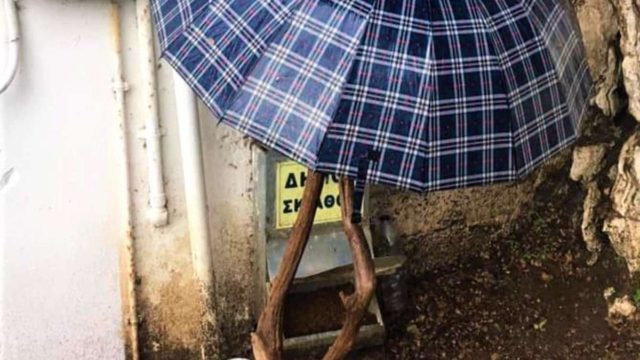 Σκιάθος: Έβαλαν ομπρέλα για να μη βρέχεται η ταΐστρα των αδέσποτων