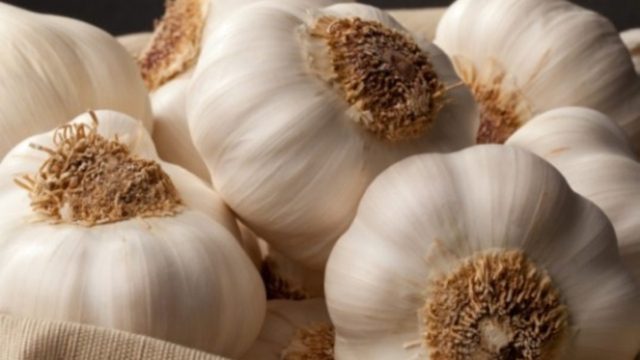 Σκόρδο: 11 εύκολα κόλπα εξουδετέρωσης της δύσοσμης αναπνοής