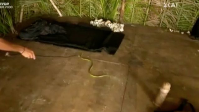 Survivor 4: Τρόμος στην «κόκκινη» παραλία – Εμφανίστηκε φίδι μπροστά στους παίκτες
