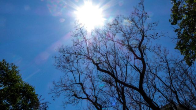 Αίθριος ο καιρός σήμερα: Πού θα φθάσει τους 20 βαθμούς το θερμόμετρο;