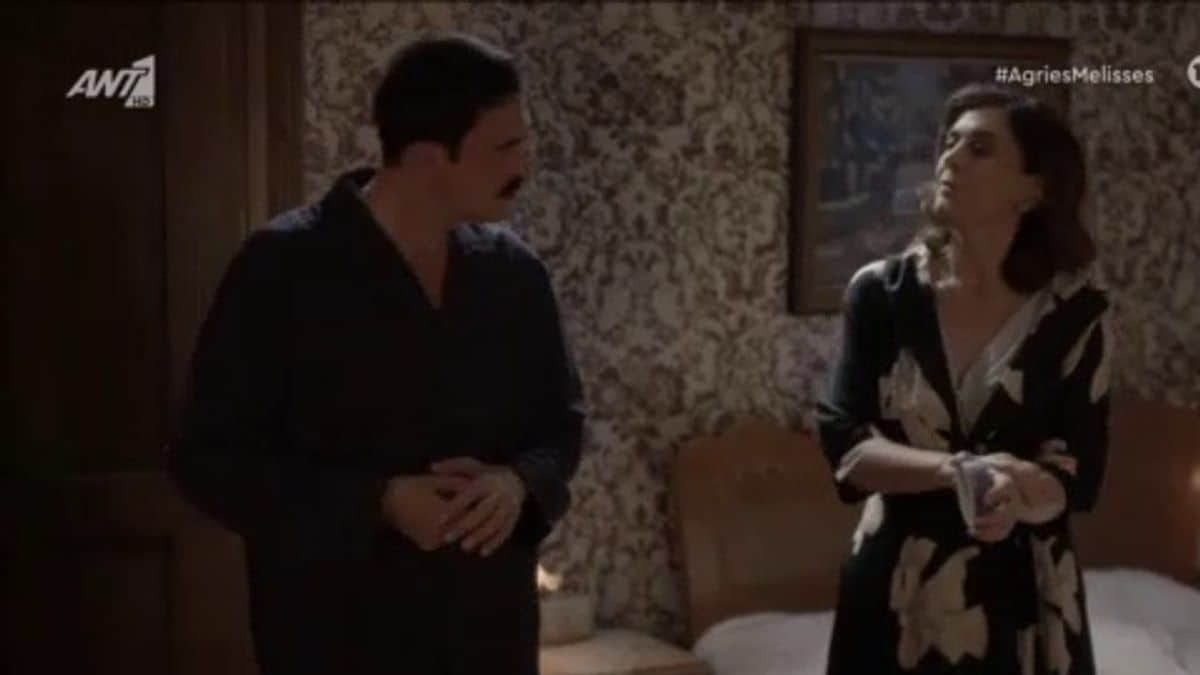 Άγριες Μέλισσες spoiler: Ουρλιαχτά στο σπίτι των Σεβαστών – “Δυστυχώς η σύζυγός σας…”