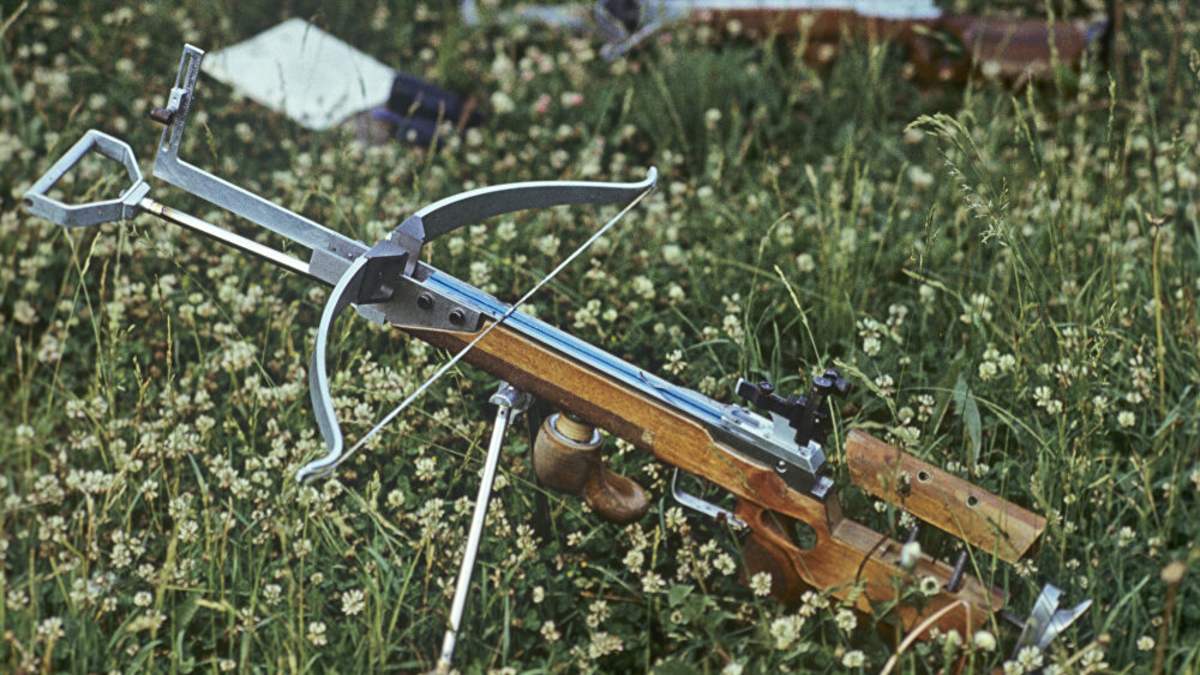 Συναγερμός στον Βόλο: Επέστρεψε ο τοξοβόλος που είχε σκοτώσει σκύλο