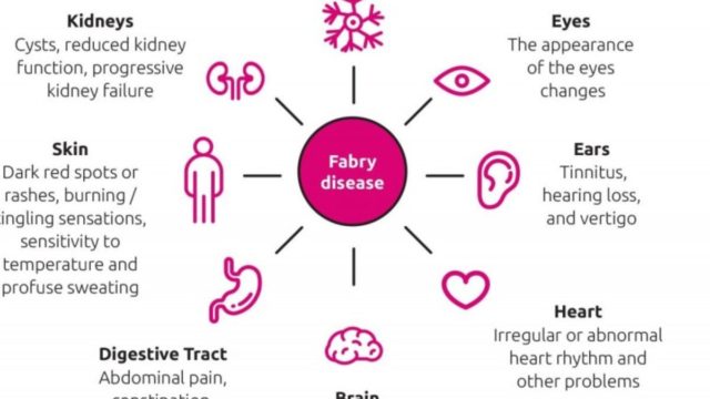fabryfamilytree.gr: Νέα πλατφόρμα ενημέρωσης για άτομα με διάγνωση νόσου Fabry και τις οικογένειές τους
