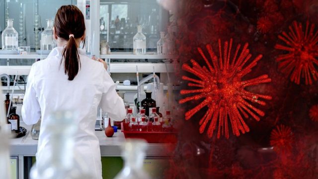 Ένας χρόνος κορωνοϊός σε 8 λεπτά και 10 δεύτερα – Ο ασθενής 0, ο πρώτος θάνατος και τα lockdown (video)
