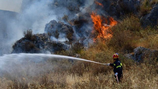 Συναγερμός στη Μεσσηνία: Φωτιά ξέσπασε σε δασική έκταση