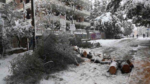 Κακοκαιρία “Μήδεια”: Σε κατάσταση έκτακτης ανάγκης κηρύσσεται ο δήμος Ωρωπού