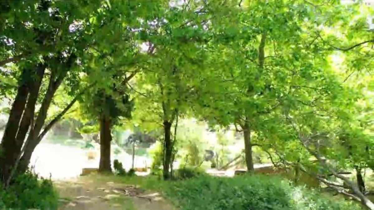 Τραγωδία: Νεκρός ο 45χρονος που αγνοείτο στην Πάρνηθα