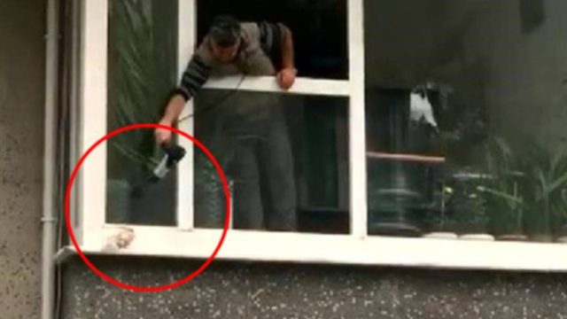 Χρησιμοποιεί στεγνωτήρα μαλλιών για να ζεστάνει ένα περιστέρι που τρέμει έξω από το παράθυρο