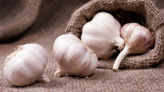 Σκόρδο: Η συμβολή του στην αντιμετώπιση της ακμής