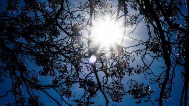 Καιρός σήμερα: Τσικνοπέμπτη με ηλιοφάνεια – Σχεδόν στους 20 βαθμούς η θερμοκρασία
