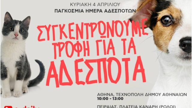 Δράση του E-Daily.gr για την Παγκόσμια Ημέρα Αδέσποτων Ζώων