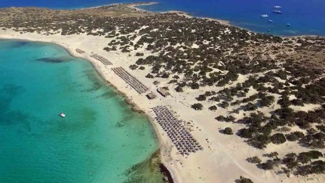 Η φωτογραφία της ημέρας: Θέλουμε διακοπές και… Γαϊδουρονήσι!