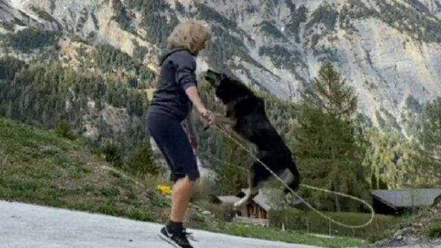 Ένας σκύλος και το αφεντικό του γυμνάζονται καθημερινά – Η άσκηση όμως που κάνουν μαζί θα σας εκπλήξει (video)