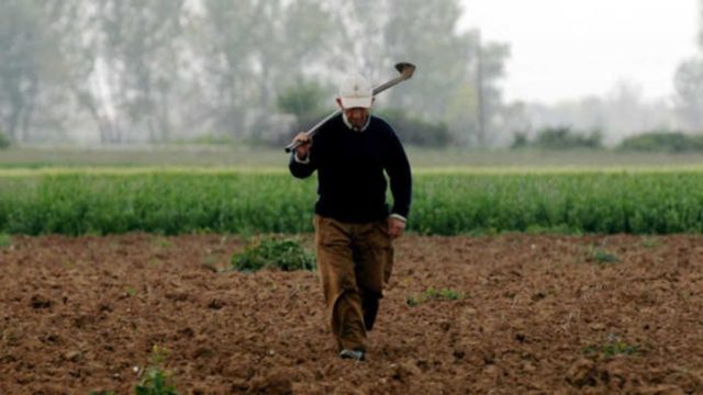 Παντρεύτηκε ένας γέρος αγρότης μια νεαρή: Το ανέκδοτο της ημέρας (22/04)