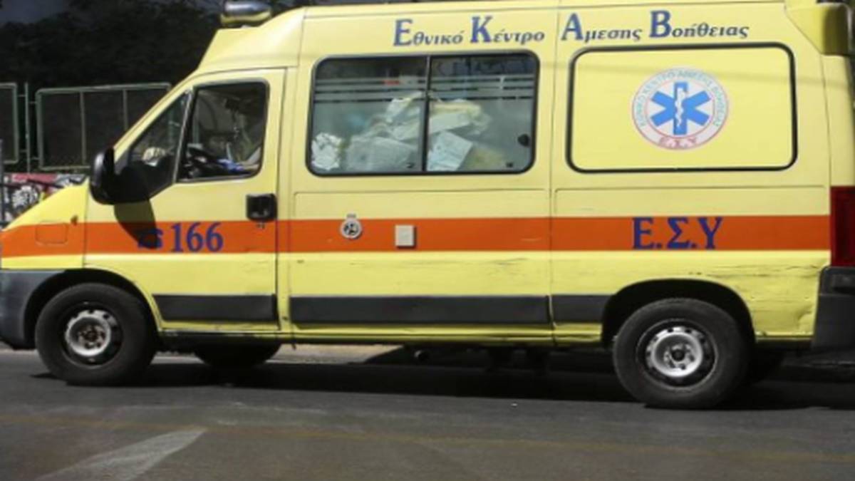 Θρίλερ στην Λαμία: Τσοπανόσκυλα επιτέθηκαν σε μητέρα και δύο παιδιά