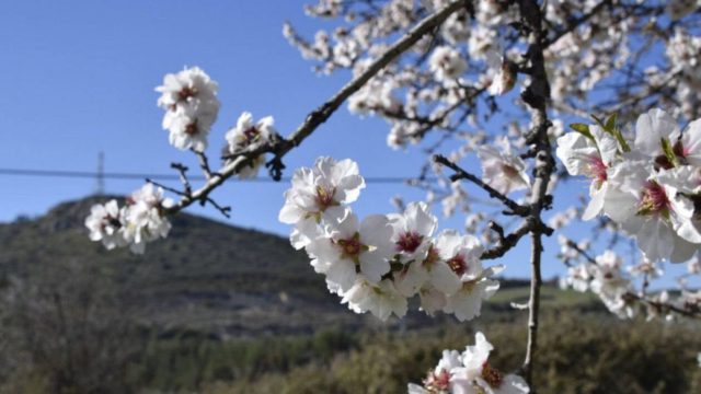 Αίθριος ο καιρός σήμερα: Πού θα φτάσει τους 20 βαθμούς το θερμόμετρο;