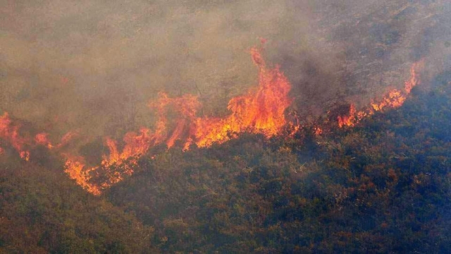 Φωτιά στο Άγιο Όρος