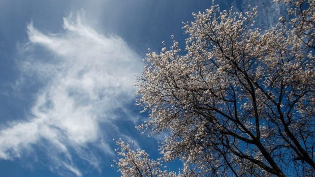 Καιρός σήμερα: Καλοκαιρία και υψηλές θερμοκρασίες σε όλη τη χώρα!