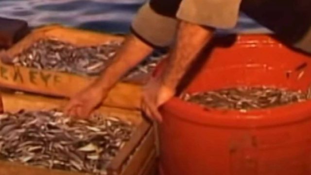 Τριχωνίδα: Σήκωσαν τα δίχτυα και έπαθαν σοκ μ’ αυτό που αντίκρισαν!