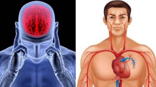 Η «θαυματουργή» τροφή που μας προστατεύει από έμφραγμα και εγκεφαλικό