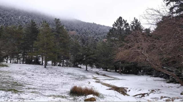 Στα “λευκά” η Πάρνηθα (photos & video)
