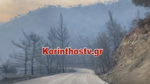 Φωτιά στον Σχίνο Κορινθίας: Στάχτη 20.000 στρέμματα δάσους – Ερευνάται το ενδεχόμενο εμπρησμού