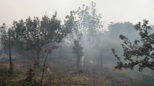 Φωτιά στον Σχίνο Κορινθίας: Κόντρα Περιφέρειας Αττικής με πυροσβεστική