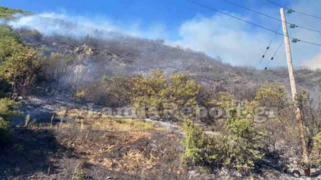 Φωτιά απειλεί σπίτια στην Φθιώτιδα – Κλειστή η Εθνική οδός
