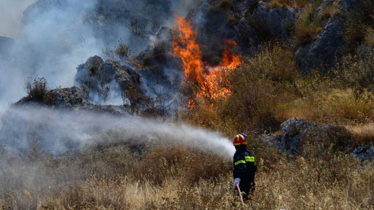 Συναγερμός στην Ηλεία: Φωτιά σε δασική έκταση
