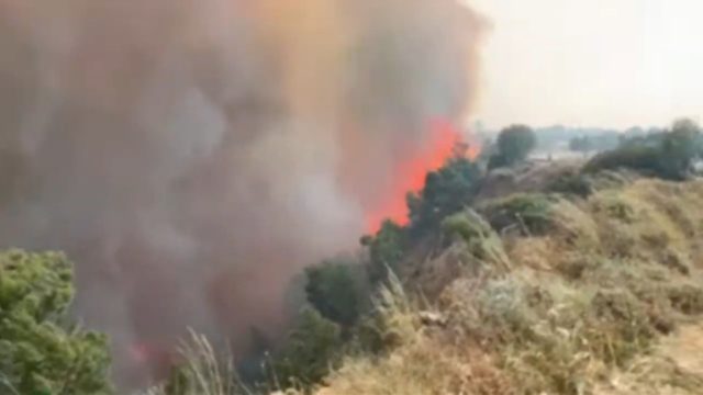 Φωτιά στον Σχίνο Κορινθίας: Εντολή να υποχωρήσουν οι επίγειες δυνάμεις της Πυροσβεστικής – Η φωτιά ξεκίνησε από καύση υλικών σε ελαιώνα
