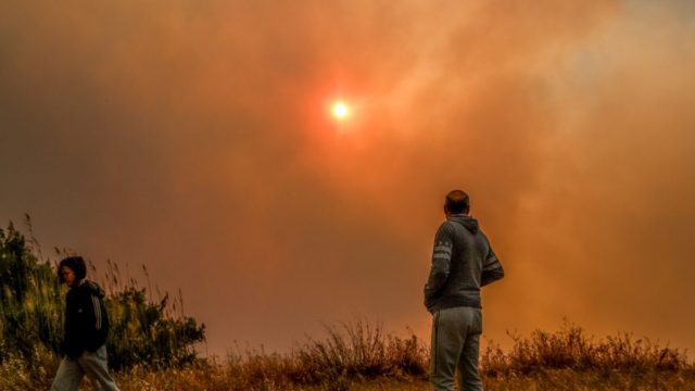 Φωτιά στον Σχίνο Κορινθίας: Καρέ καρέ η καταστροφή