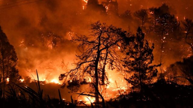 Φωτιά στον Σχίνο: Στιγμές τρόμου για πυροσβέστες και πολίτες που περικυκλώθηκαν από τις φλόγες