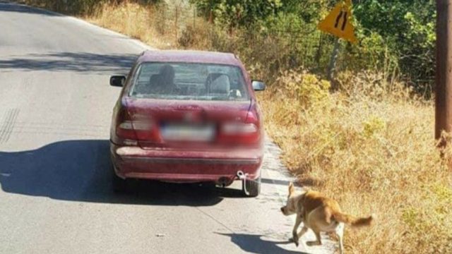 Θυμάστε τον σκύλο που έσερνε με το αυτοκίνητό του ηλικιωμένος στην Κρήτη; Δείτε πως είναι σήμερα