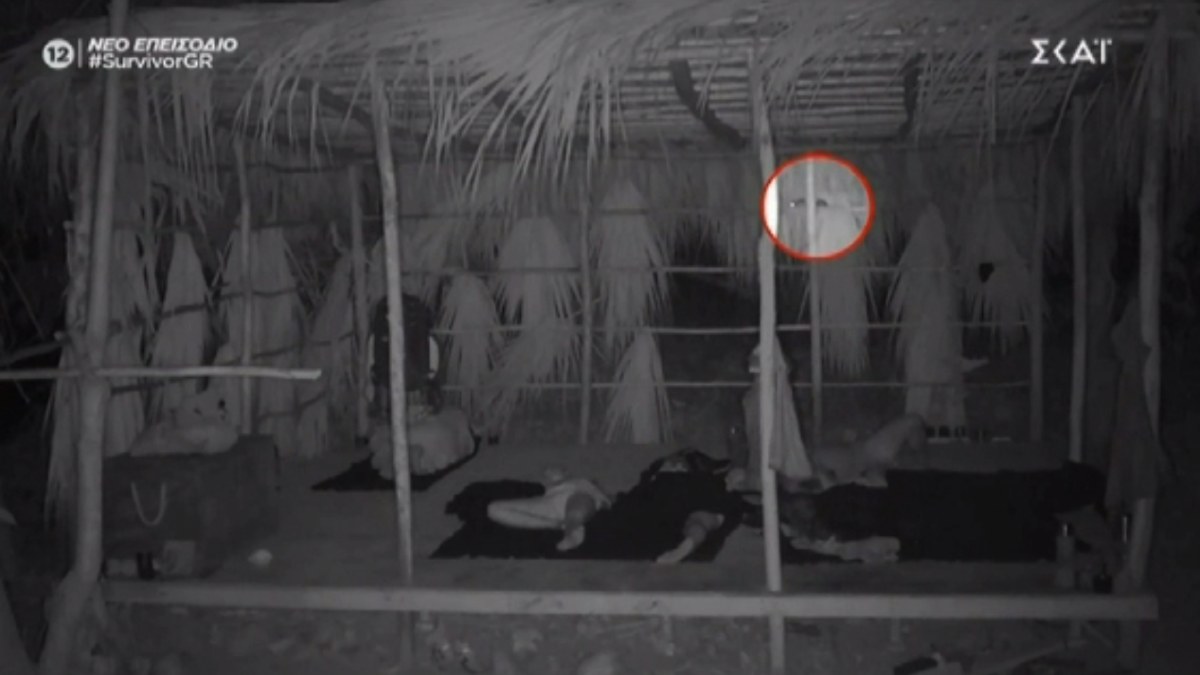 Survivor 4: Κλάμα στην παραλία – Βατράχι… κατούρησε τον Ασημακόπουλο