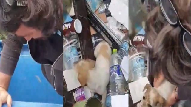 Βασίλης Χαραλαμπόπουλος: Μπήκε σε κάδο και έσωσε πανέμορφο κουτάβι