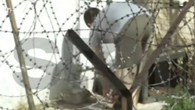 Έγκλημα στα Γλυκά Νερά: Ο Μπάμπης ταϊζει γάτες ενώ έχει σκοτώσει το ίδιο του το σκυλάκι! Φωτογραφίες-ντοκουμέντο μέσα από τις φυλακές Κορυδαλλού