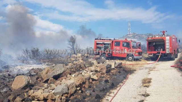 Φωτιά στην Αίγινα – Άμεσα ενισχύσεις για να μην φτάσει σε σπίτια