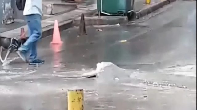 Η κακοκαιρία σάρωσε την Θεσσαλονίκη (Video)